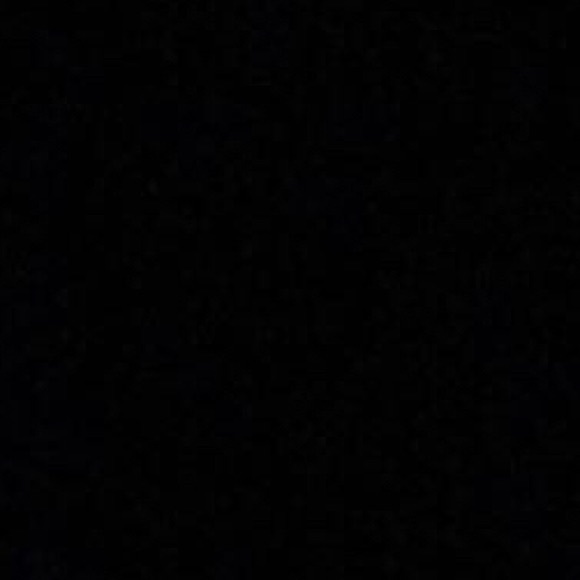 Meet your Posher, Harlee - Picture 1 of 1